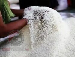 Terbongkar Praktik Pemalsuan Beras Premium disejumlah Produsen di Indonesia