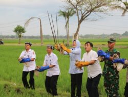 Wakil Bupati Bojonegoro Lepaskan 25 Ekor Burung Hantu di Areal Persawahan Desa Nguken